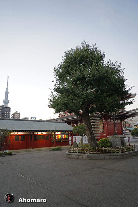 写真00