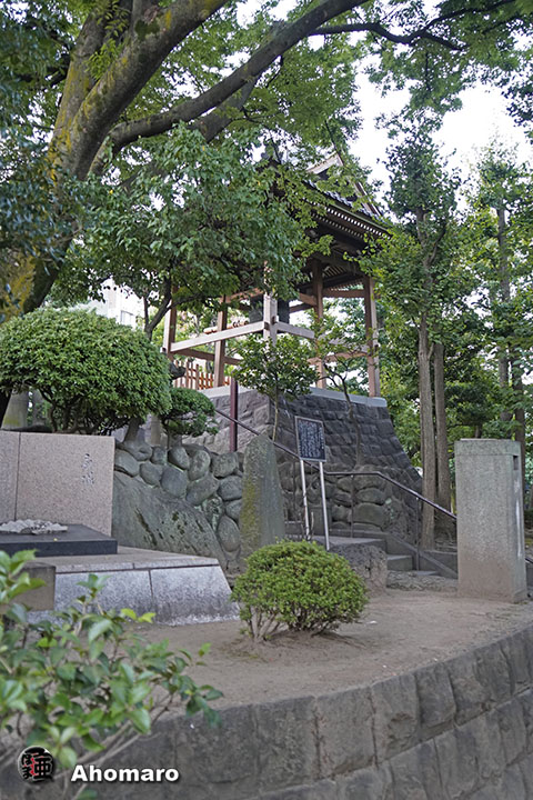 写真00