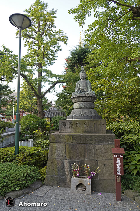写真00