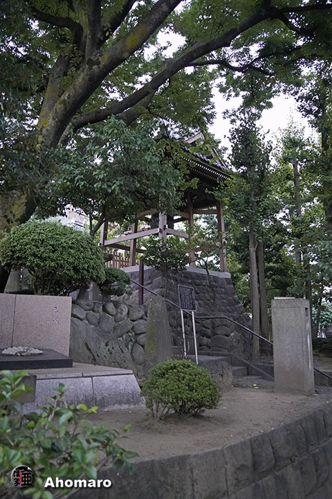 写真00