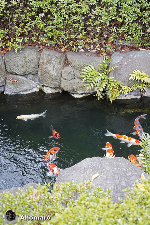写真00