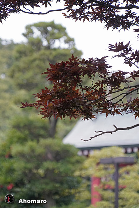 写真00