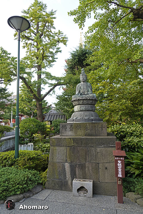 写真00