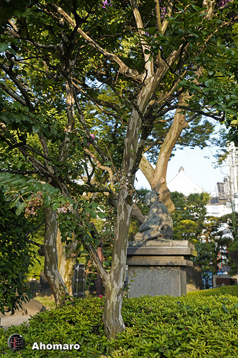 写真00