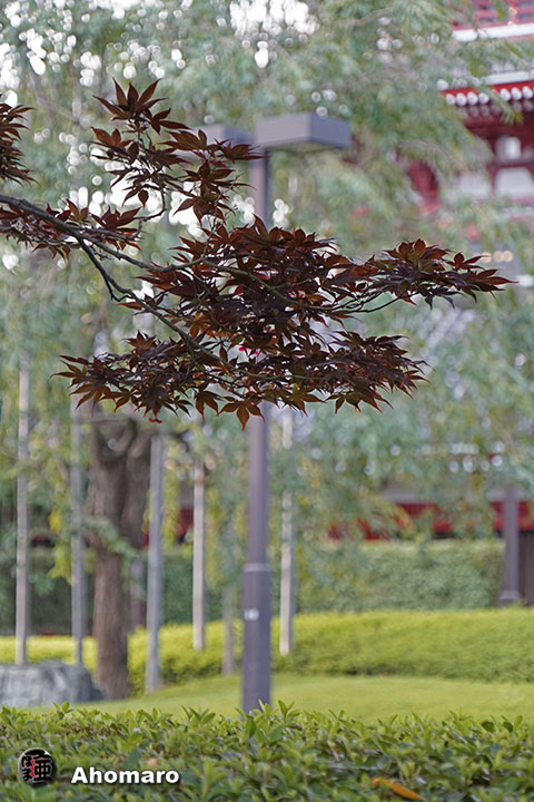 写真00