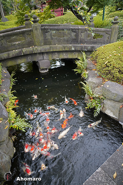 写真00