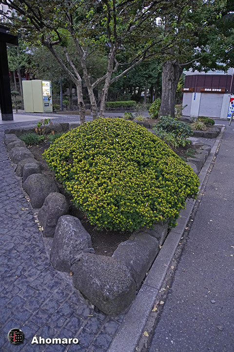 写真00