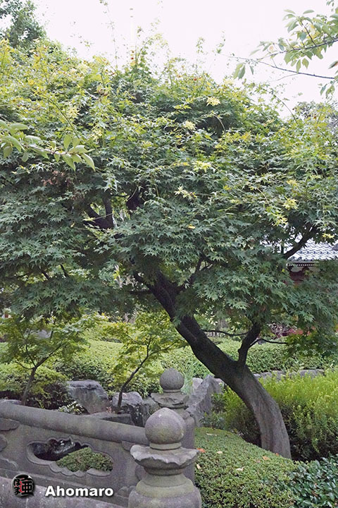 写真00