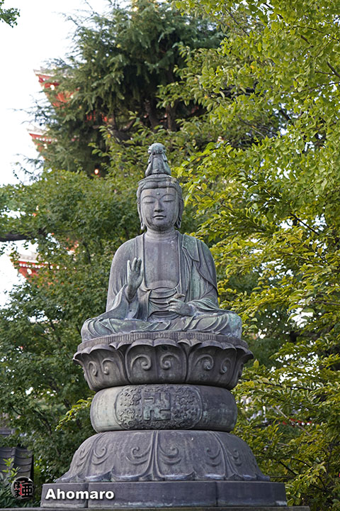 写真00