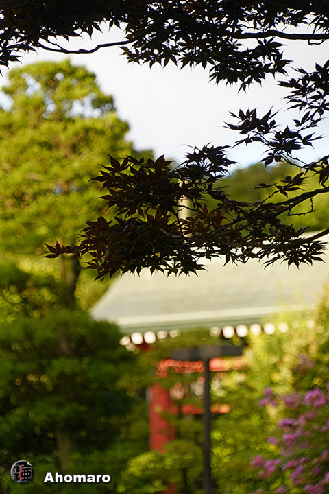 写真00