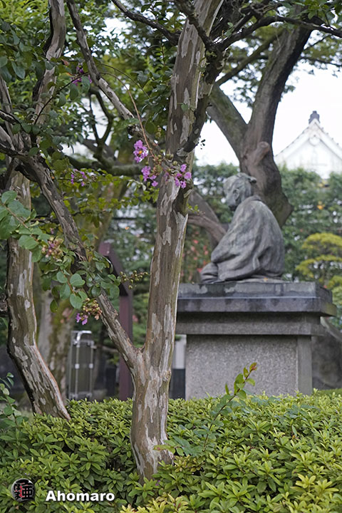 写真00