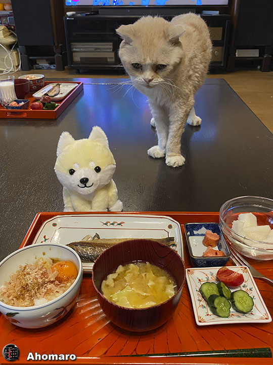 写真00