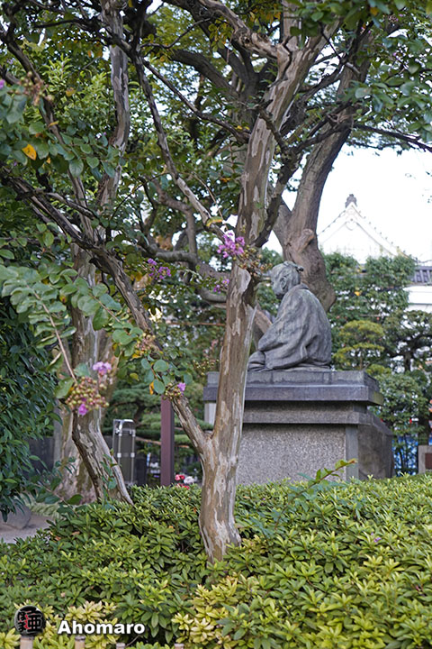 写真00