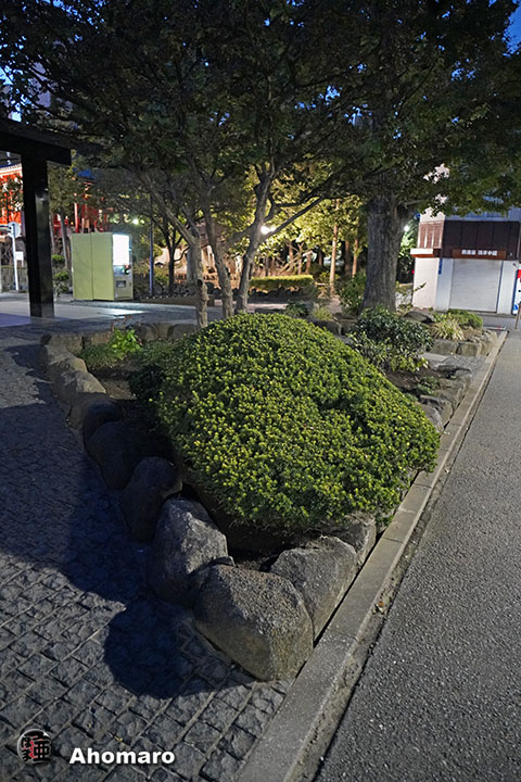 写真00
