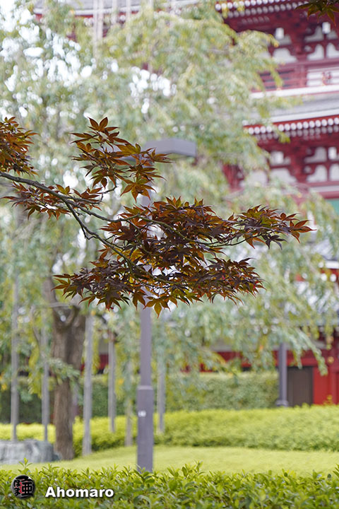 写真00
