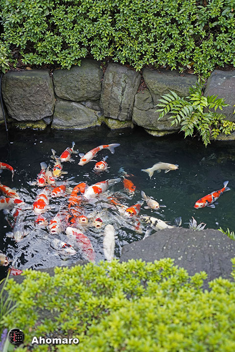写真00