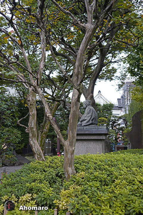 写真00