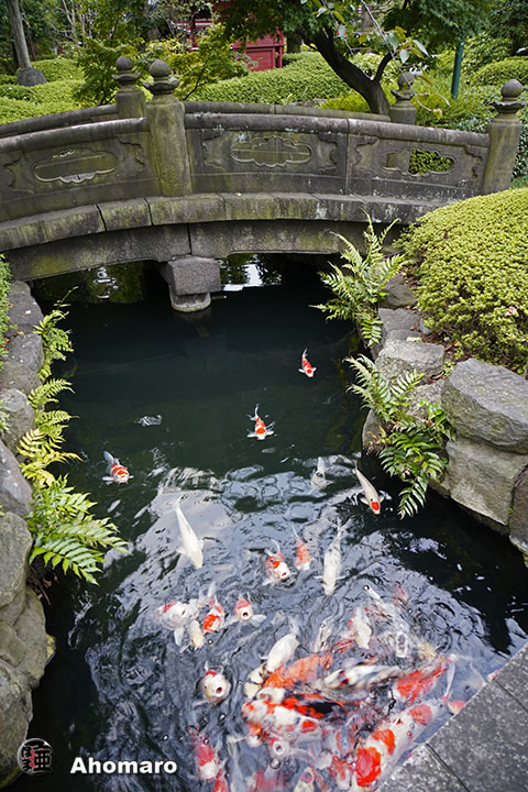 写真00