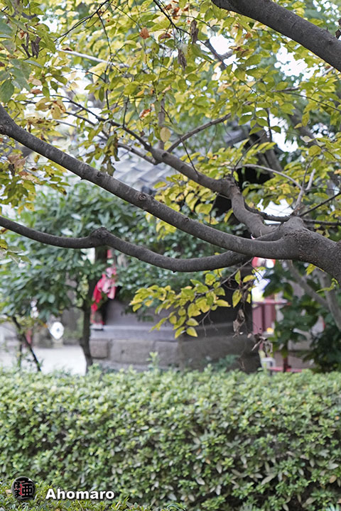 写真00