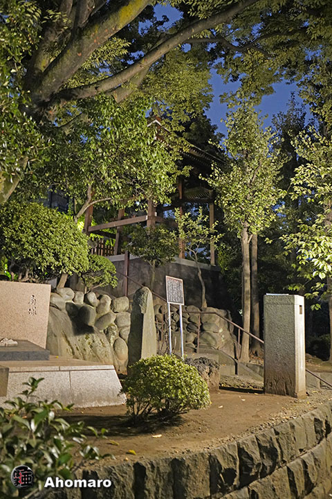 写真00