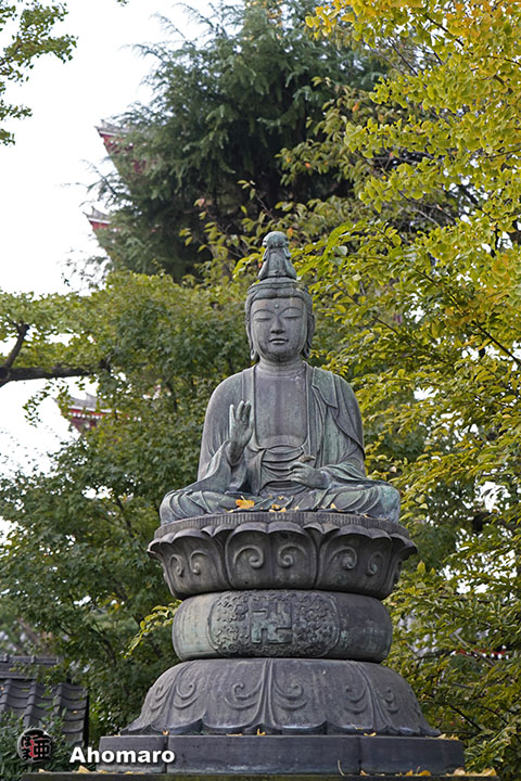 写真00