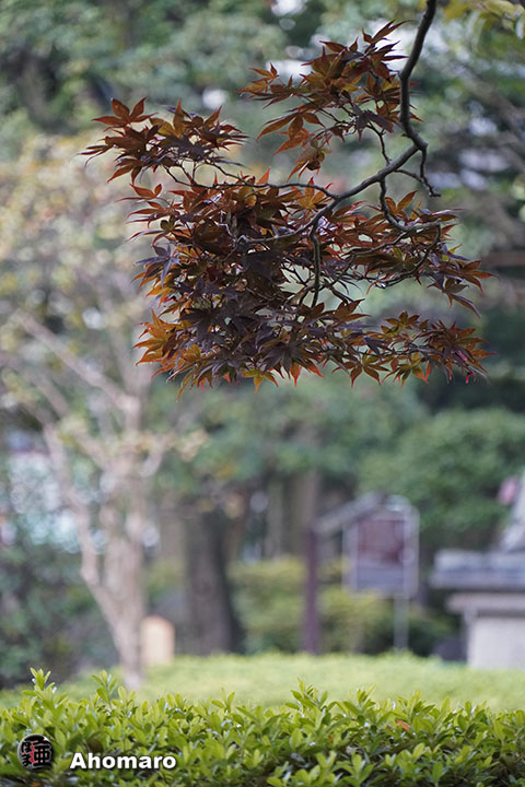 写真00