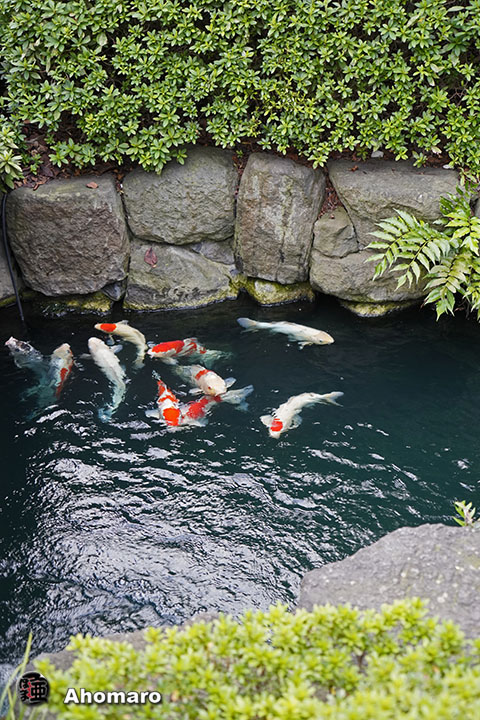 写真00