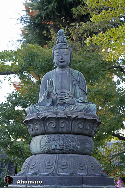 写真00