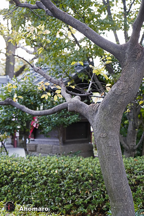 写真00