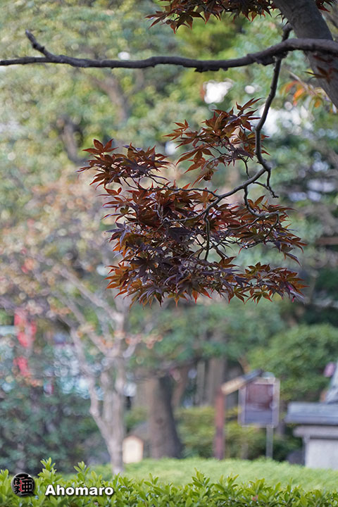 写真00
