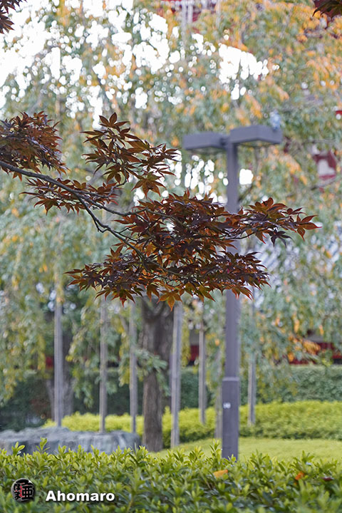 写真00