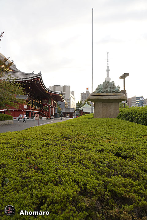 写真00