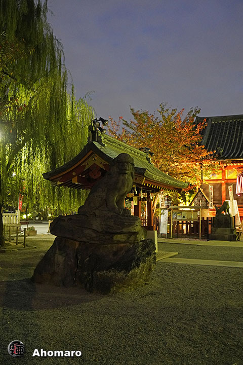 写真00