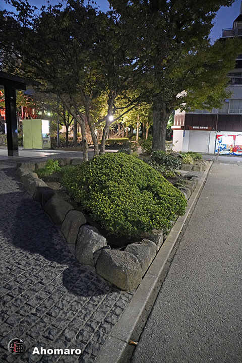 写真00