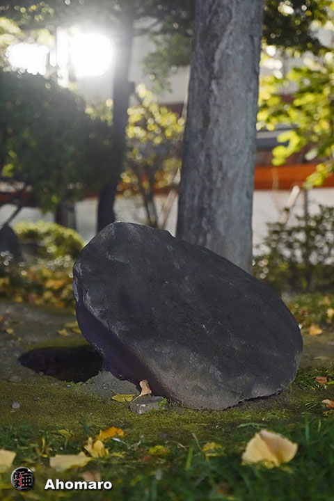 写真00