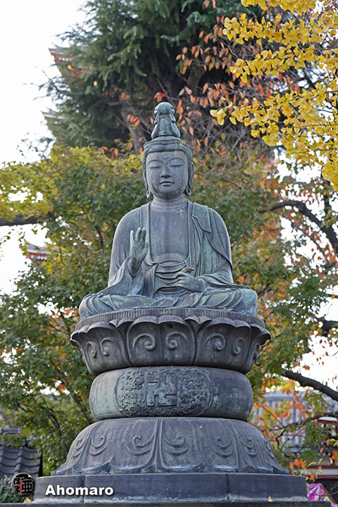 写真00