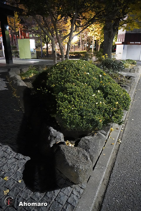 写真00