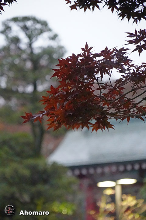写真00