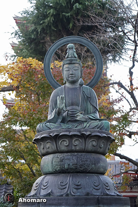 写真00