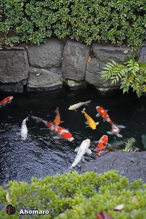 写真00