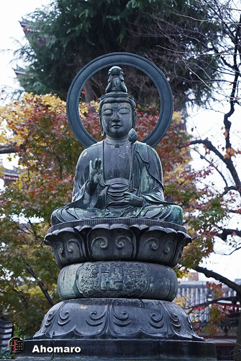 写真00