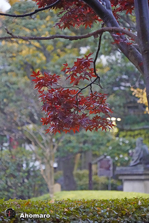 写真00