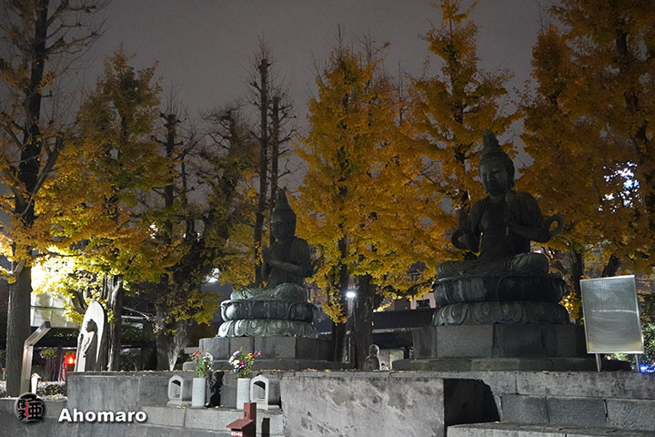 写真00