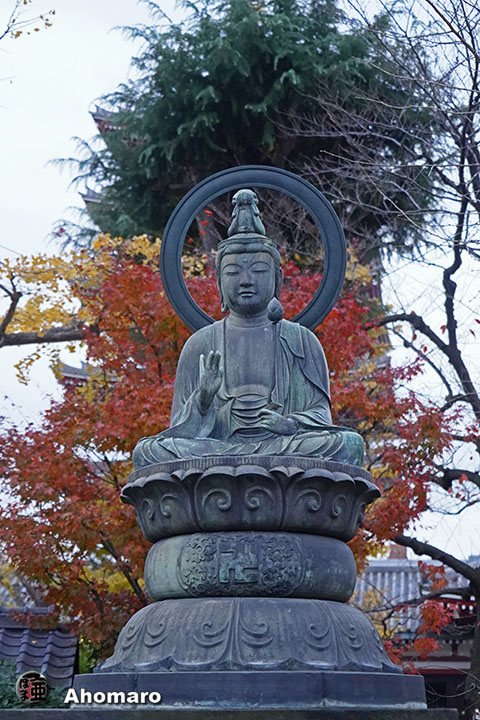 写真00