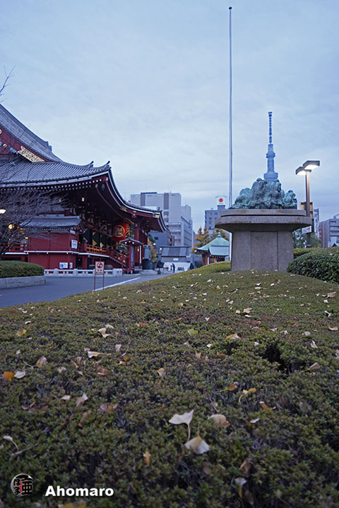 写真00