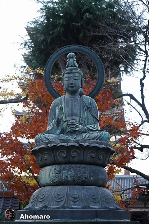 写真00
