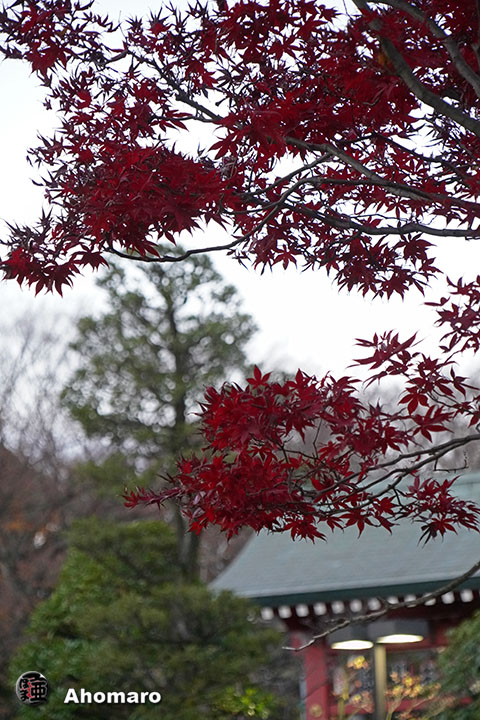 写真00
