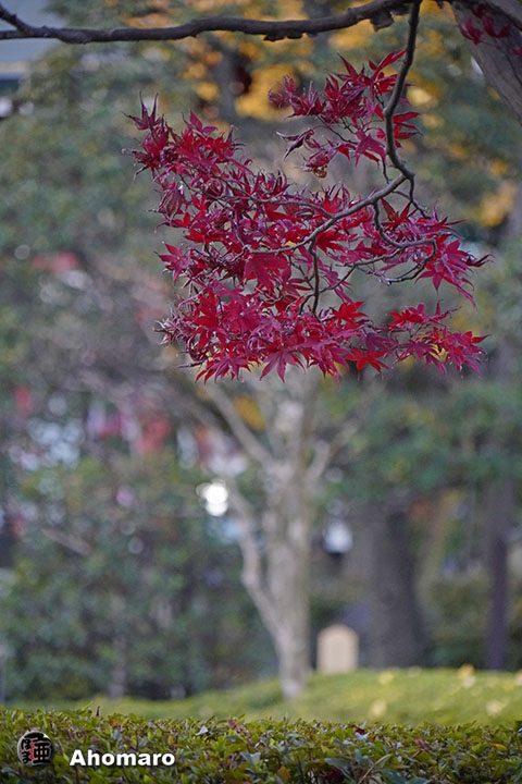 写真00