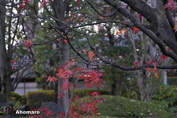 写真00