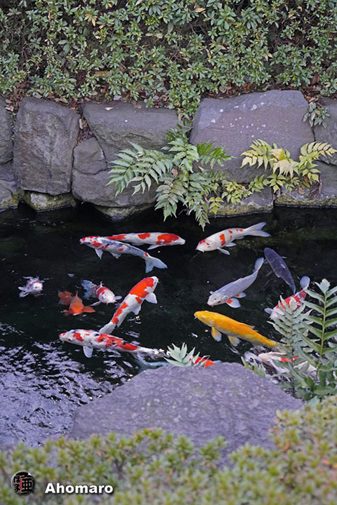 写真00